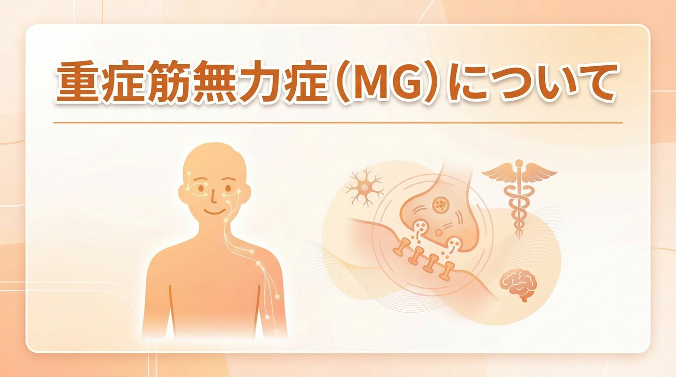 重症筋無力症（MG）について